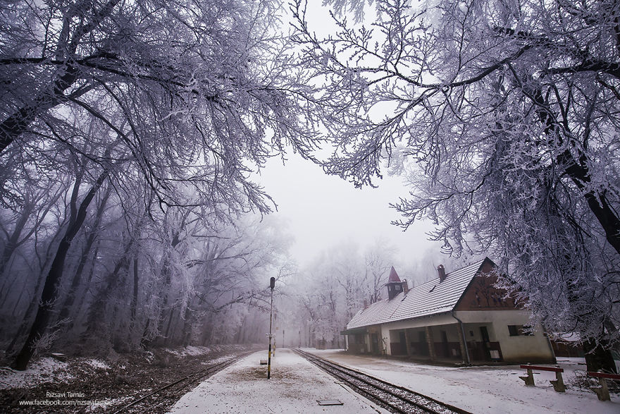下一站冬天 火车做主角的主题摄影